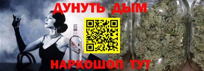 спиды Гай
